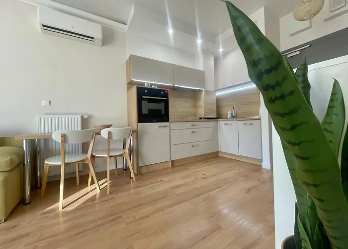 Opera Park 23 By Rent4you Ольштын